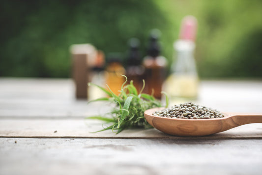 Understanding the Endocannabinoid System and How CBD Supports Your Wellbeing